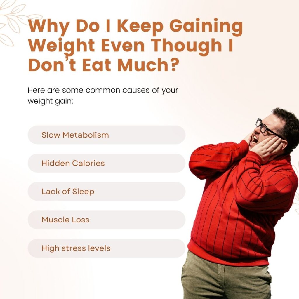 Why Do I Keep Gaining Weight Even Though I Don't Eat Much?