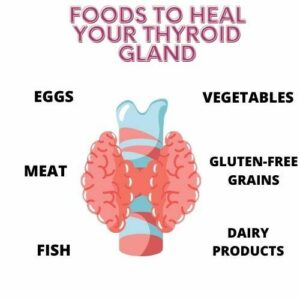 How to Reset Your Thyroid Gland? Guide on What to Eat & Avoid