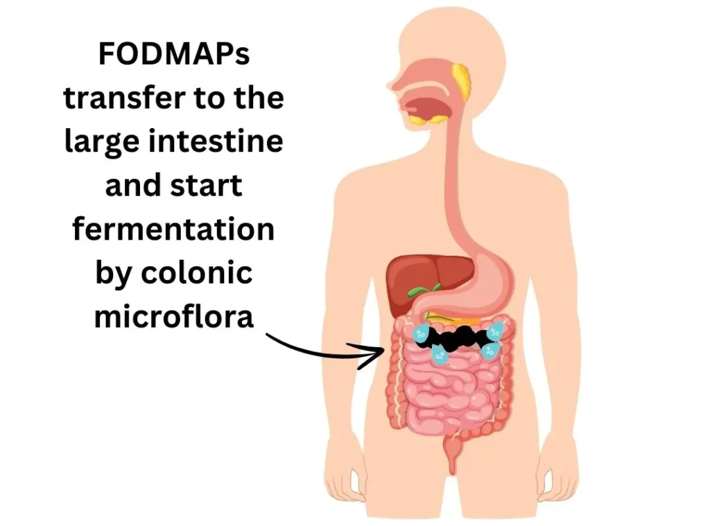 fodmap symptoms